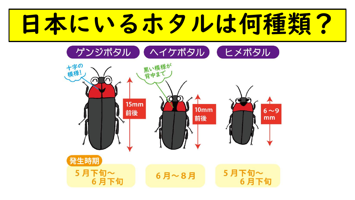 読み聞かせ　ホタル.pdfの1ページ目のサムネイル