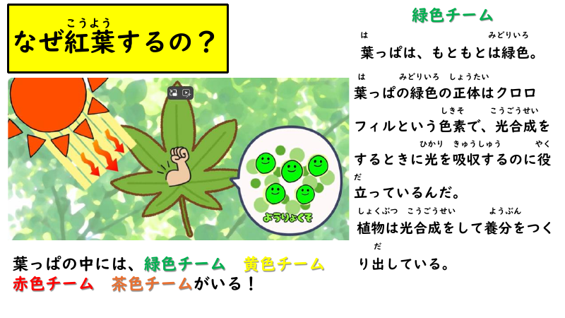 読み聞かせ　紅葉 - コピー.pdfの1ページ目のサムネイル